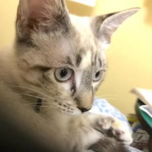 Meet your Posher, Stacy